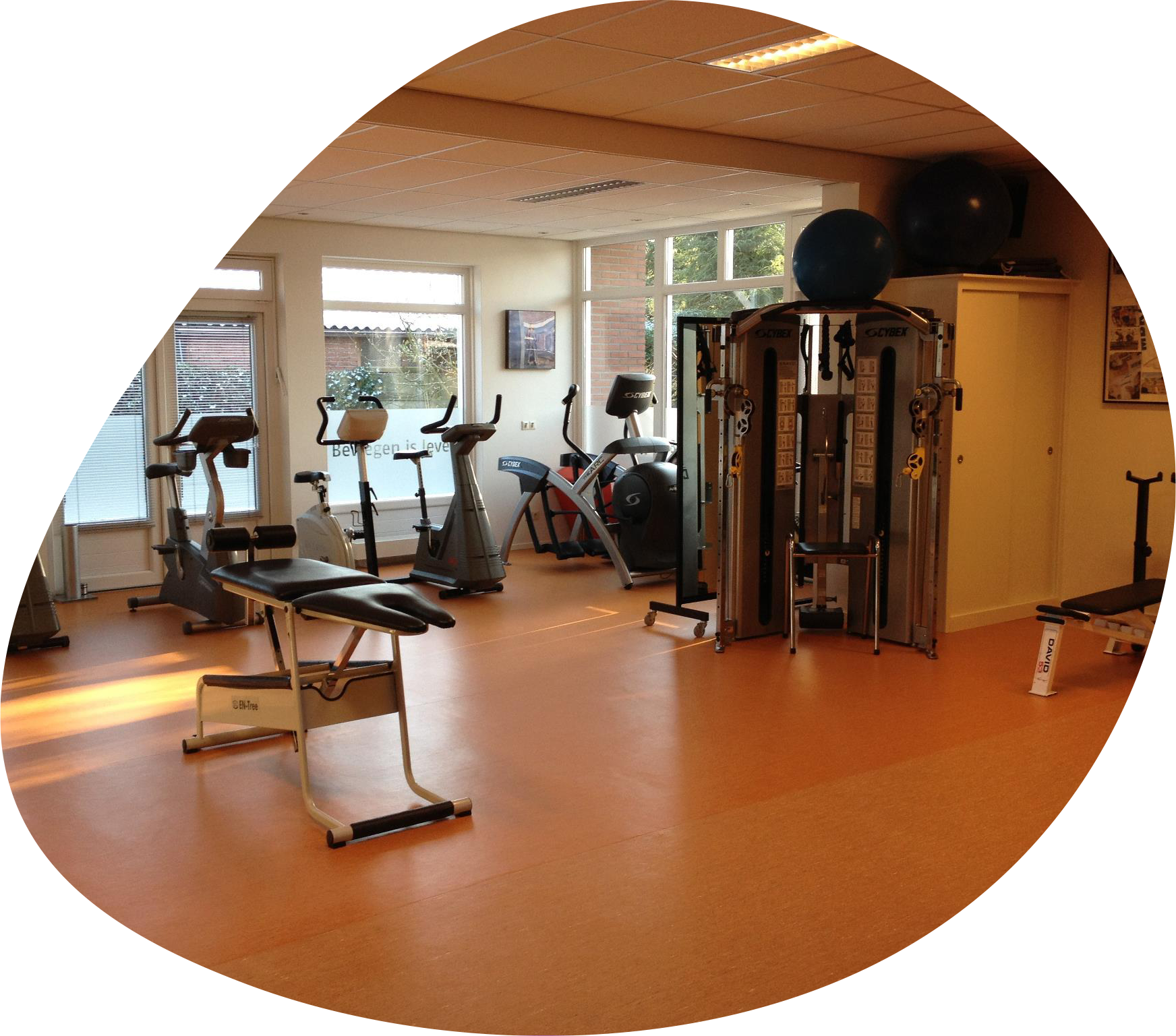 Oefenzaal - Van Panhuis Fysiotherapie Aalten
